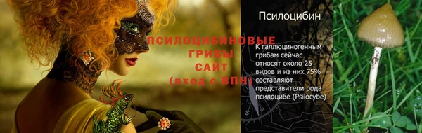 синтетический гашиш Осташков