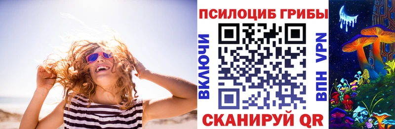 Галлюциногенные грибы Psilocybe  хочу   Хилок 